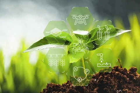 Smart farm technologies support plant growth with data and tools Stock Photos