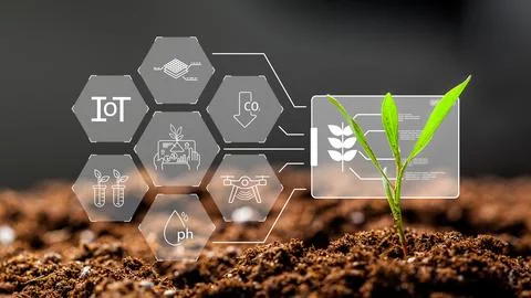Smart farm technology in action showcasing plant growth and data tracking tools Stock Photos