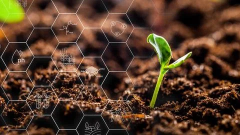 Smart farm technology allows for growth of new plants in soil with digital tools Stock Illustration