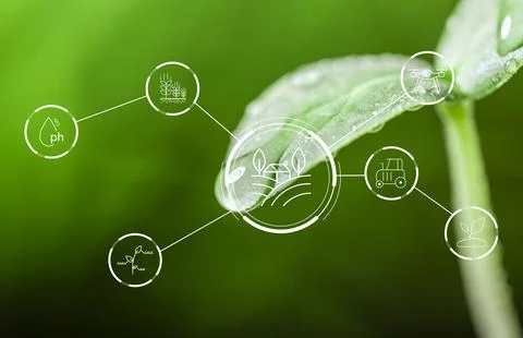Smart farm technology connects data points to improve agriculture on green crops Stock Photos