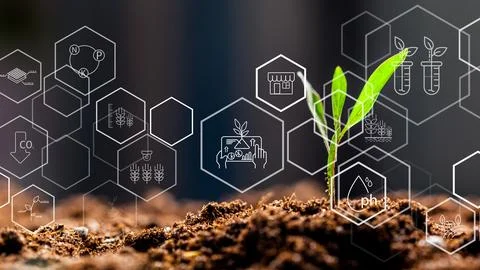Smart farm technology grows plants with data and innovation for better crop Stock Photos