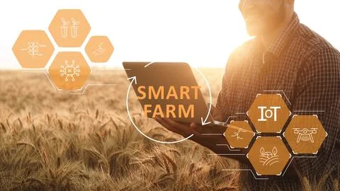 Smart farm technology improves crop management and efficiency in agriculture Stock Photos