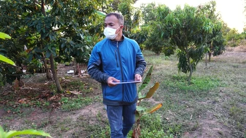 Smart farm technology, quality control and inspection with holographic  Stock Footage 233853829