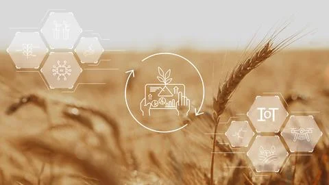 Smart farm technology shows data collection and analysis for crop management Stock Photos