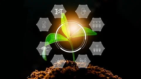 Smart farm technology shows plant growth and data management in agriculture Stock Photos