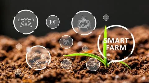 Smart farm technology uses data and devices for better crop management and Stock Photos