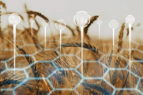 Smart farm technology uses data to improve crop growth in wheat fields Stock Photos