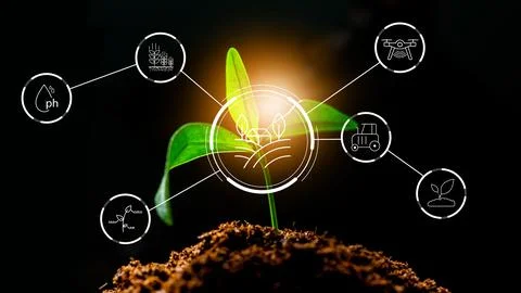 Smart farm tools support plant growth with technology and data in agriculture Stock Photos