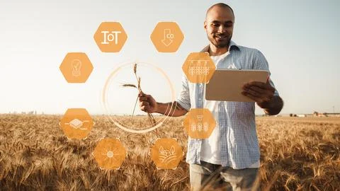 Smart farm uses technology for crop monitoring and management in a wide field Stock Photos