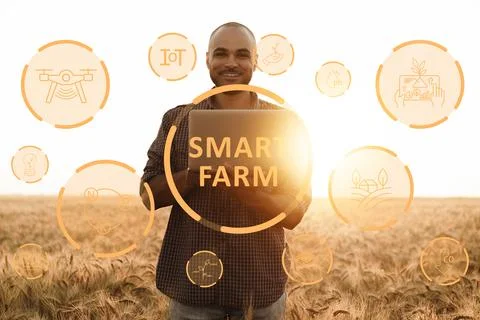 Smart farm worker uses technology in field during sunset for efficient farming Stock Photos