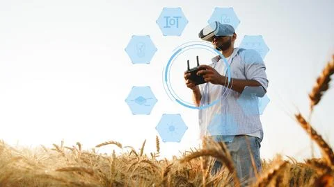 Smart farm worker uses virtual reality to manage crops in wheat field durin.. Stock Photos