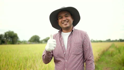 Smart farmer standing and smiling proud of their produce in rice field after. Stock Footage 172188289
