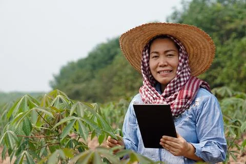 Smart farmer, use technology internet to research and develop crops. Stock Photos