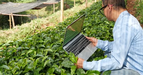 Smart farmer using laptop in eco green farm sustainable quality control. Close u Stock Footage 231611324