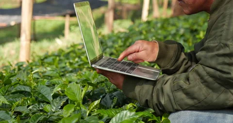 Smart farmer using laptop in eco green farm sustainable quality control. Close u Video stock 231612626