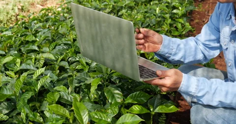 Smart farmer using laptop in eco green farm sustainable quality control. Close u Vídeos de archivo 231614260