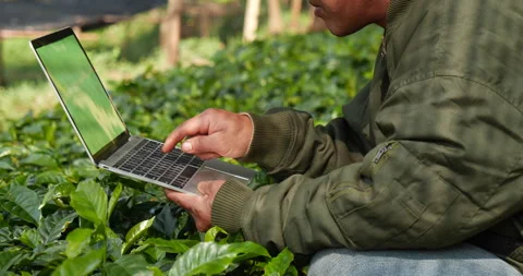 Smart farmer using laptop in eco green farm sustainable quality control. Stockbeeldmateriaal 245336642