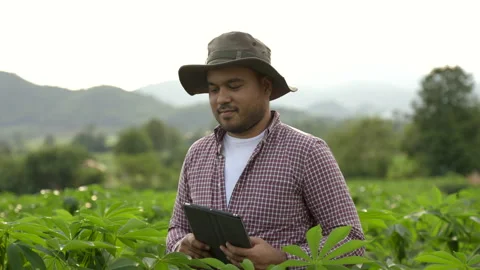  Smart farmer using a technology for studying and development agricultural. Stock Footage 158791331