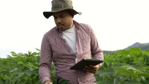 Smart farmer using a technology for studying and development agricultural. Stock Footage 158791718