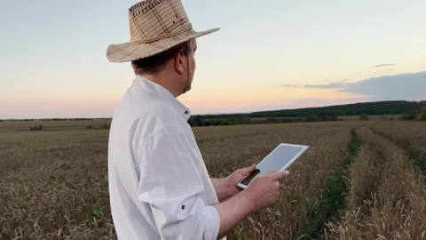 Smart farming and digital tools in use, Remote sensing technology in agriculture Stock Footage 314684432