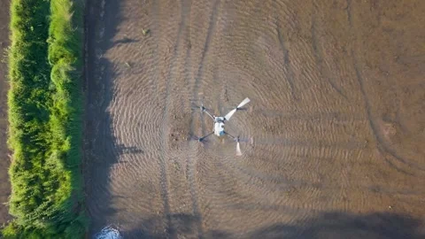 Smart farming and drone technology in modern agriculture 4K Stock Footage 341813040