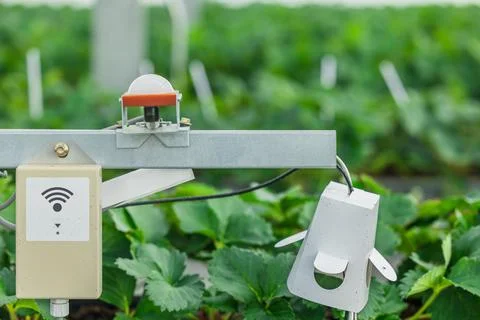 Smart farming, CO2 Sensor humidity lighting temperature monitor technology .. Stock Photos
