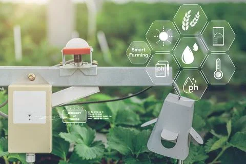 Smart farming, CO2 Sensor humidity lighting temperature monitor technology .. Stock Photos