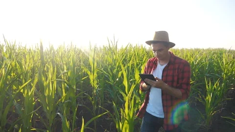 Smart farming concept slow motion video. man agronomist holds tablet touch pad Stock Footage 117118397