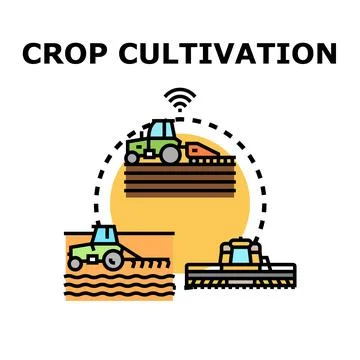 Smart farming crop cultivation process using agricultural vehicles Stock Illustration