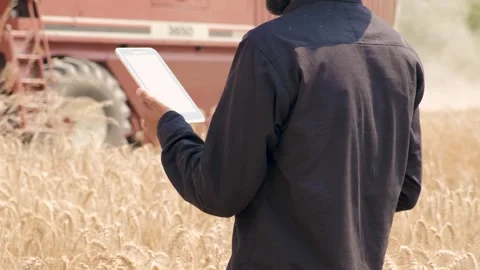 Smart Farming with Farmer Using Mobile Device in Harvest Field Stock Footage 246474911