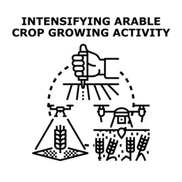 Smart farming technology intensifying arable crop growing Stock Illustration