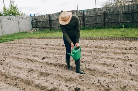 Smart farming using modern technologies in agriculture. Man agronomist farmer Stock Photos