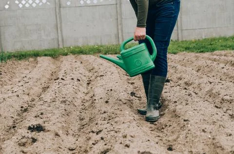 Smart farming using modern technologies in agriculture. Man agronomist farmer Stock Photos