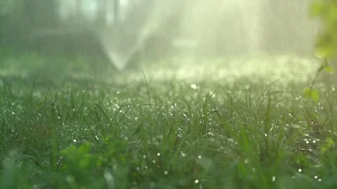Smart garden activated with full automatic sprinkler irrigation system Stock Footage 142668380
