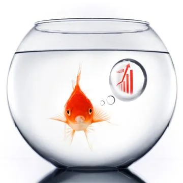 Smart Gold fish Stock Photos