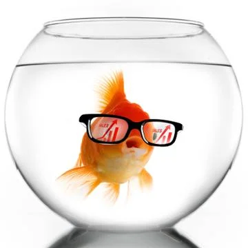 Smart Gold fish Stock Photos