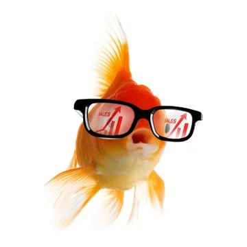 Smart Gold fish Foto stock