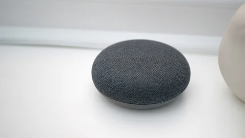 Smart Google Home Speaker Activated Stock Footage 104116308