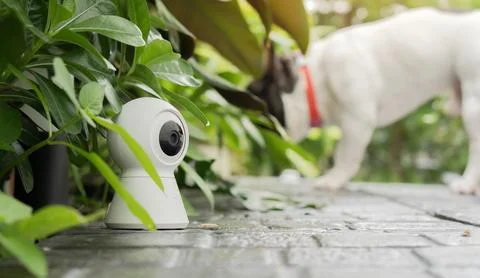 Smart home security camera wireless hiding in the garden to spy Foto stock