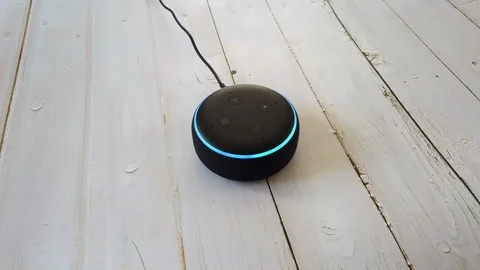 Smart Home Voice Assistant Controlled Gadget Responding To Command 库存影片 115479081