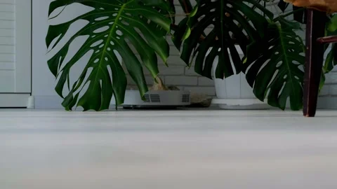Smart House. Home assistant concept. Stock Footage 168817878