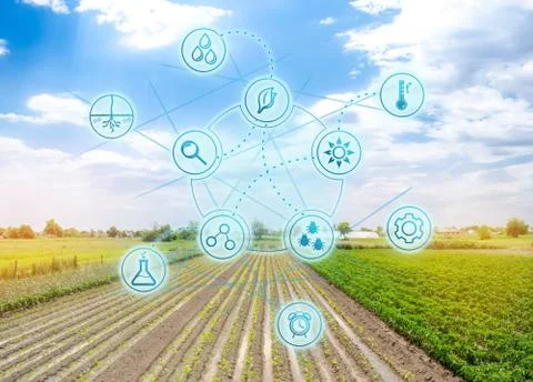 Smart innovative high technologies and innovations in agro-industry. Agricult Stock Photos