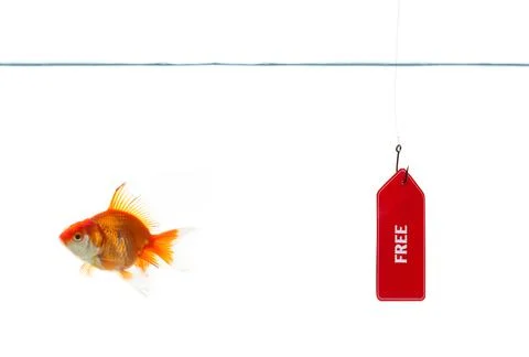 Smart Intelligent Choice Stock Photos