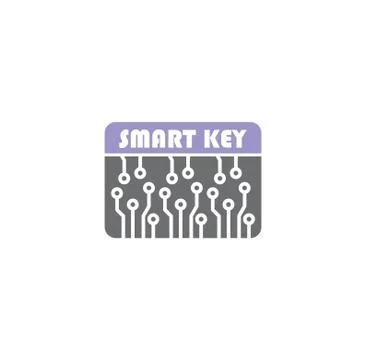 Smart key related icon on background for graphic and web design. Creative Illustrazione stock