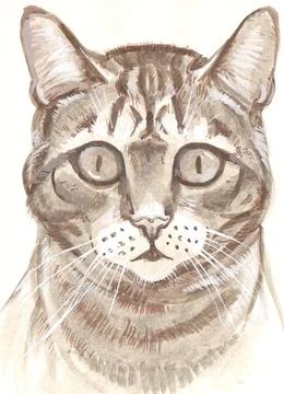 Smart kitten Stock Illustration