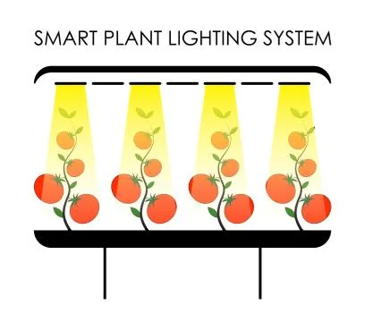 Smart lighting system for plants in the greenhouse. Efficient agriculture Illustrazione stock