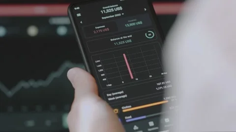Smart money management. Using technology to track budget. A person who uses a Stock Footage 250383546