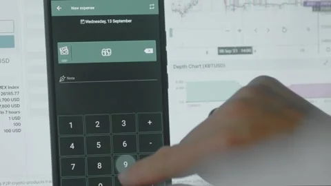 Smart money management. Using technology to track budget. A person who uses a Stock Footage 250388590