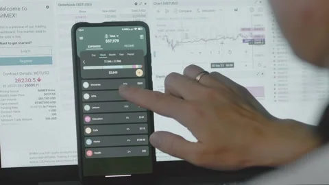 Smart money management. Using technology to track budget. A person who uses a Stock Footage 250388882