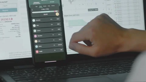 Smart money management. Using technology to track budget. A person who uses a Stock Footage 250388982
